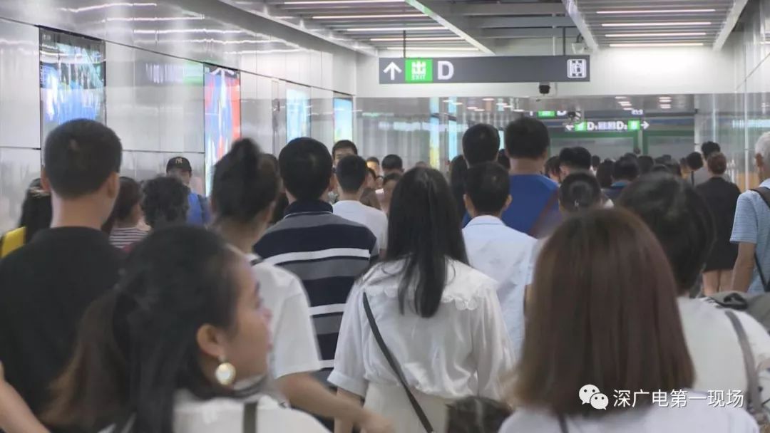 爆棚的深圳湾公园见过吗?日客流40万人那种